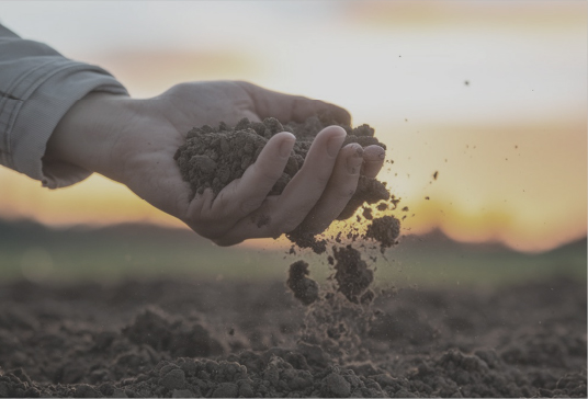 Eco-Friendly Land Stewardship